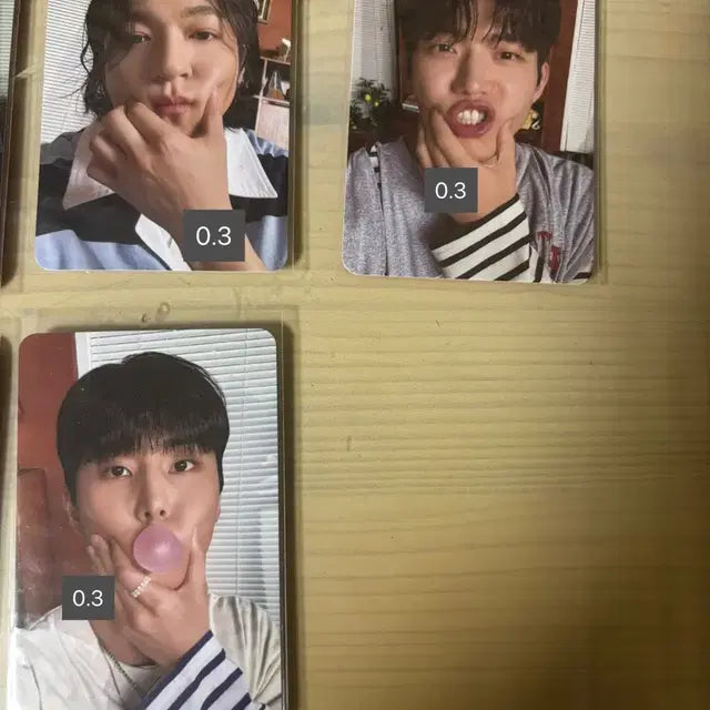 데이식스 시즌그린팅 포카