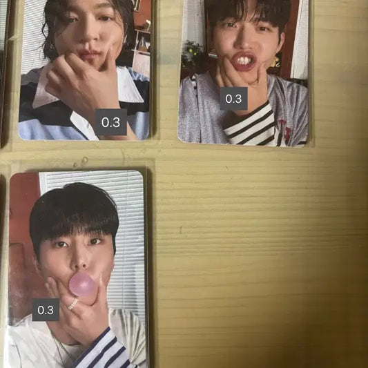 데이식스 시즌그린팅 포카