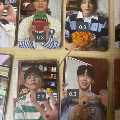 데이식스 시즌그린팅 포카