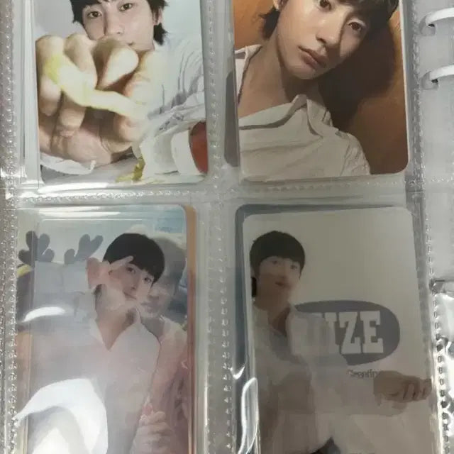 라이즈 포카 쇼타로 성찬 은석 원빈 소희 앤톤