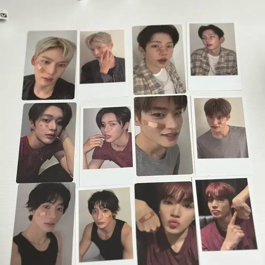 가격내림)라이즈 포카 원빈 앤톤 쇼타로 은석 성찬 소희