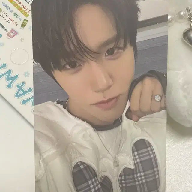 엔시티 위시 재희) 컬러 재희 포카 일괄 양도