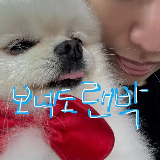 보이넥스트도어 보넥도 굿즈판매