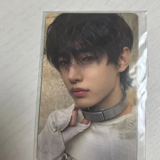 엔하이픈 성훈 포카