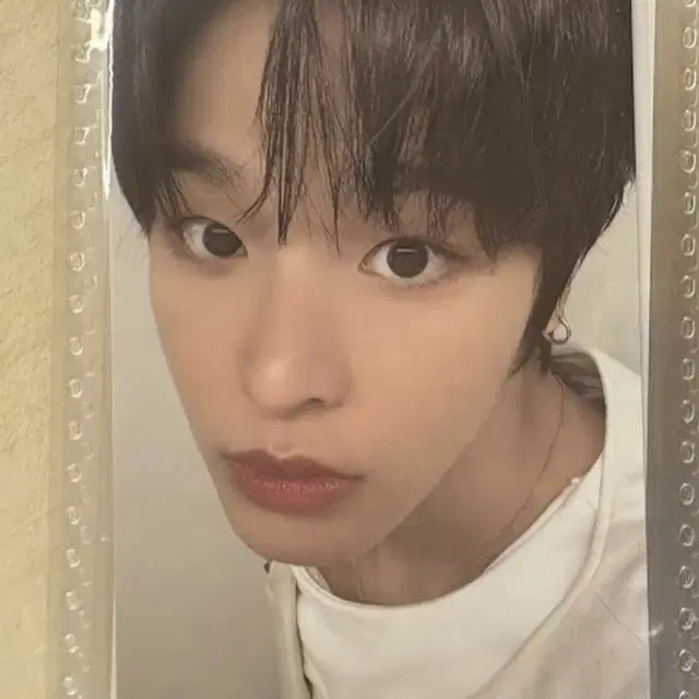 리쿠 포토북 특전 포카 양도