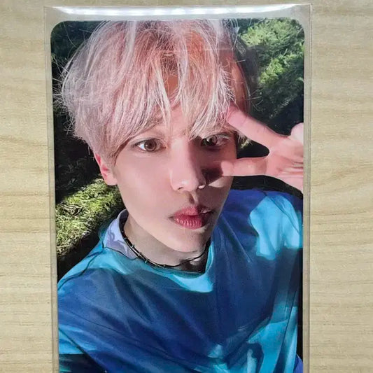 시온 송버드 레터 포카 양도