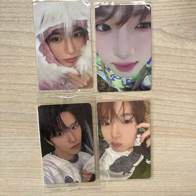 엔시티 위시 컬러 포카