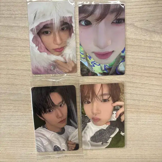 엔시티 위시 컬러 포카