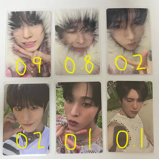 엔시티위시 초회한정반 미라클 컬러 앨범 포카 유우시 리쿠 재희 시온