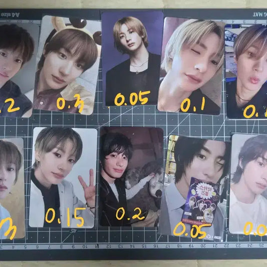 라이즈 성찬 앤톤 포카 양도