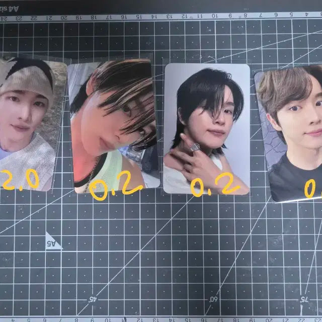 라이즈 성찬 앤톤 포카 양도