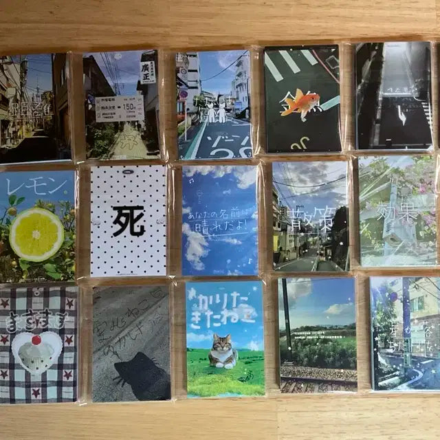 파도님 바인더 대지 양도 판매 포카 보넥도 엔위시 라이즈 투바투 세븐틴