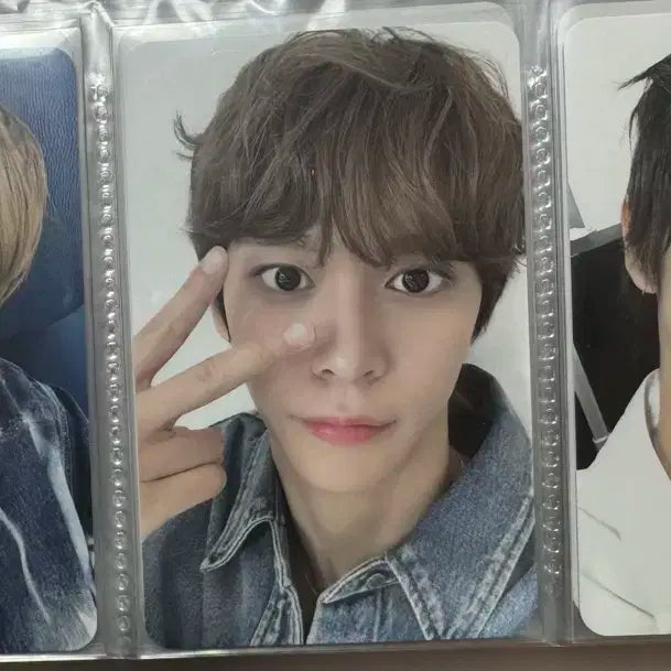 라이즈 시그 포카 쇼타로 은석 성찬 원빈 소희 앤톤