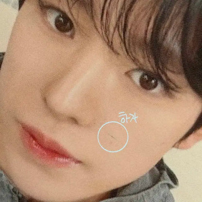 엔시티위시 유우시 포카 포토카드 컬러 팝팝 스테디 송버드 분철 팝업 럭드