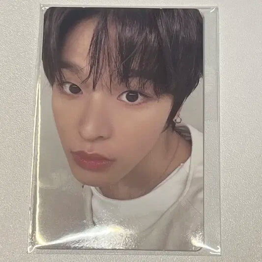 배포!!) 리쿠 컬러 쇼케 쇼케이스 응모 포카 엔시티위시 위시 엔위시