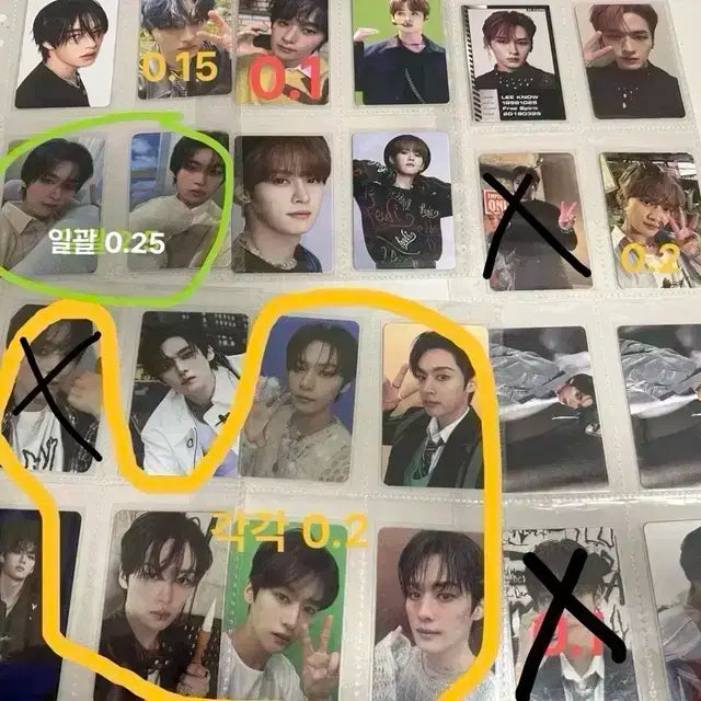 스키즈 리노포카