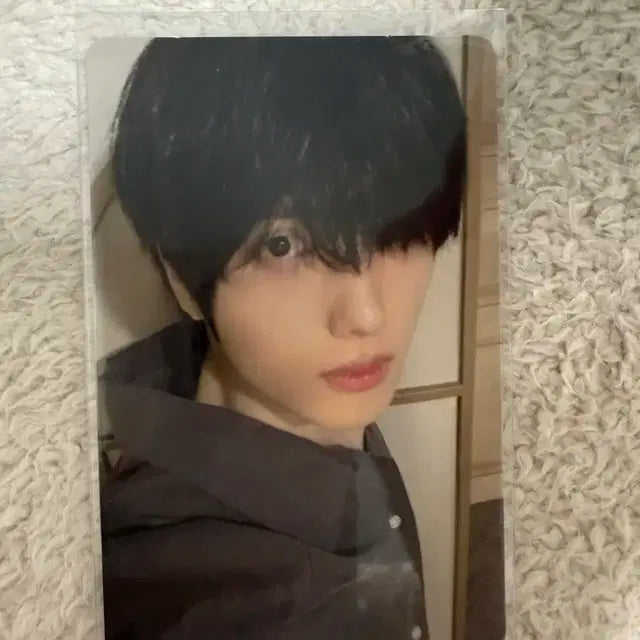 엔시티드림 nctdream 지성 포카 판매