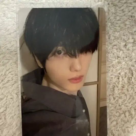 엔시티드림 nctdream 지성 포카 판매