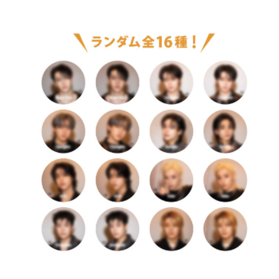 STRAY KIDS - JAPAN MUSEUM "SEASON'S GREETINGS 2025" PHOTOCARD SET (9pc)