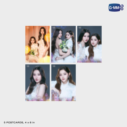 【PRE-ORDER】 GMMTV - VIEWMIM MINI PHOTO SET | BLUSH BLOSSOM FAN FEST 2026 : MIDNIGHT BLOOM