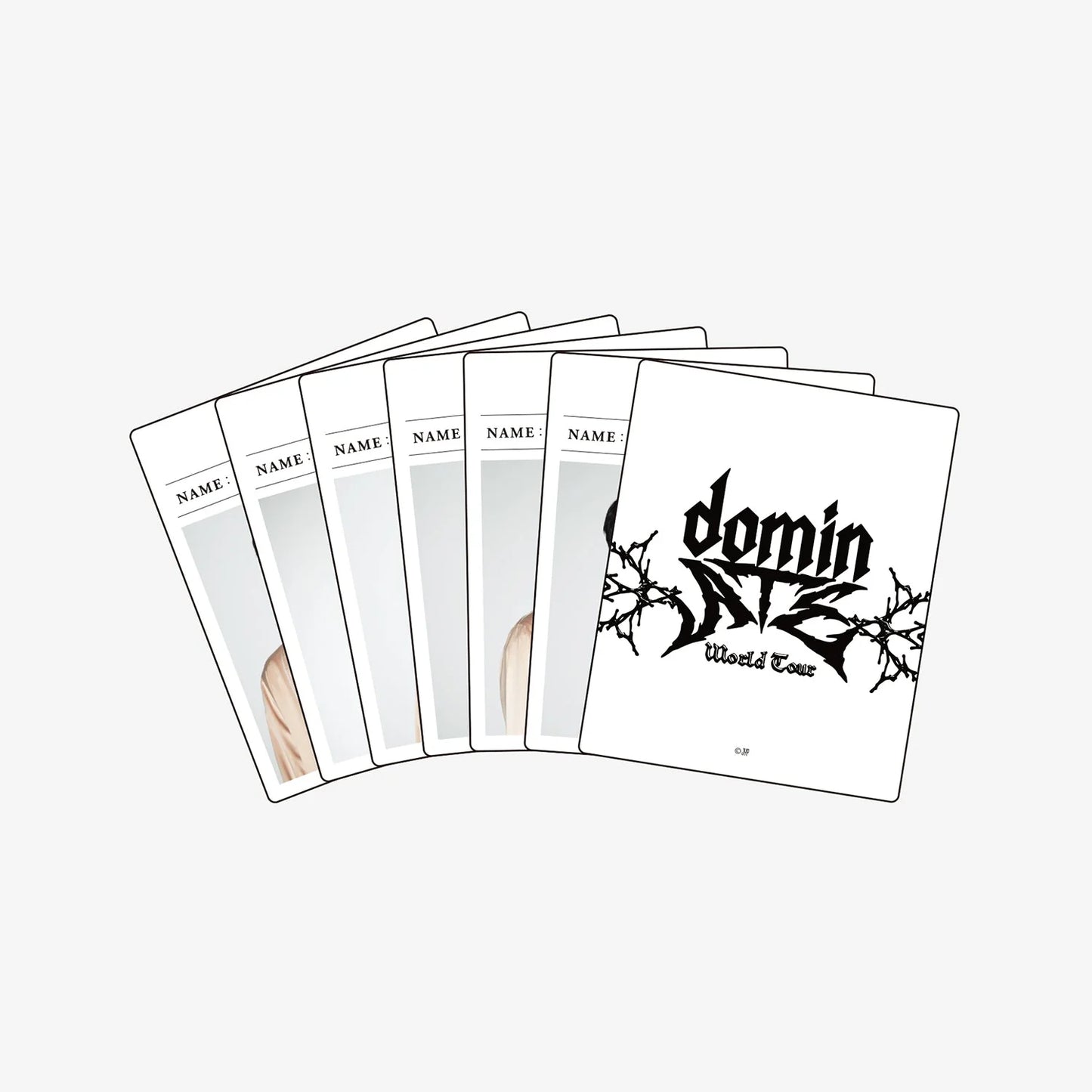 STRAY KIDS - World Tour <dominATE JAPAN> Official Goods